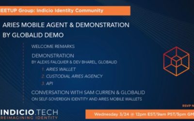 Aries demonstration by GlobaliD