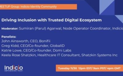 Driving Inclusion with Trusted Digital Ecosystems