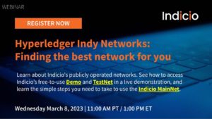 Hyperledger Indy Networks – Finding the best network for you