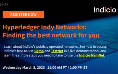 Hyperledger Indy Networks: Finding the best network for you